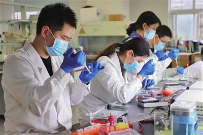 记者从重庆医科大学获悉,该校联合博奥赛斯生物科技成功研发
