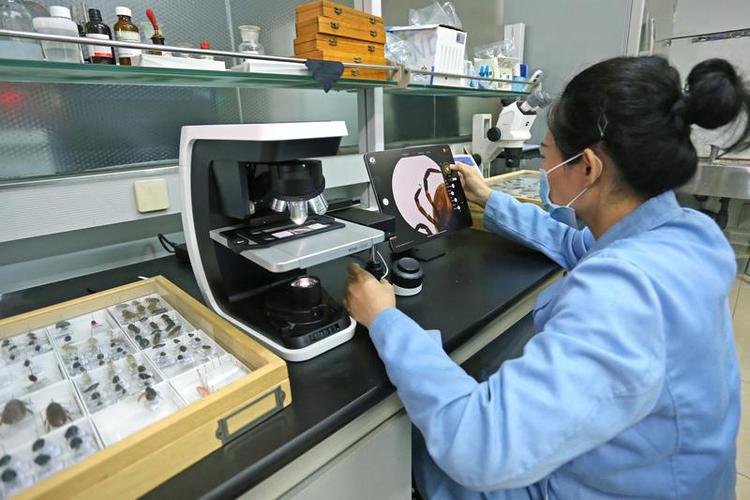 《病媒生物及其携带细菌性病原体的分子鉴定关键技术研发》荣获广东省