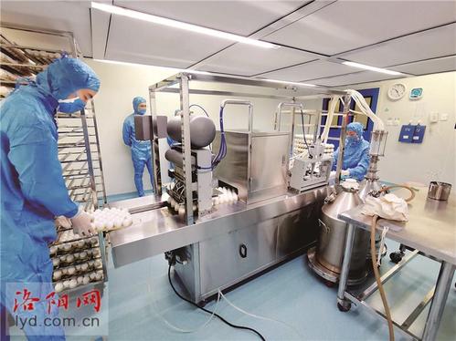 洛阳惠中生物技术有限公司研发高端疫苗产品为畜牧业保驾护航