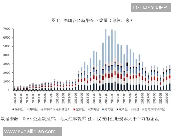 深圳排球队的实力分析与未来发展展望探讨